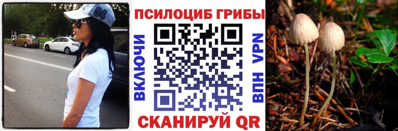 Псилоцибиновые грибы GOLDEN TEACHER  Камызяк 